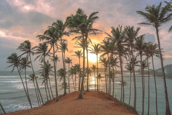 Mirissa Beach